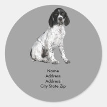 German Shorthaired Pointer Puppy Address Label Round Sticker