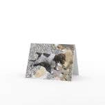 German Shorthaired Pointer Puppy cards