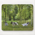 German Shorthaired Pointer Pups Mousepad