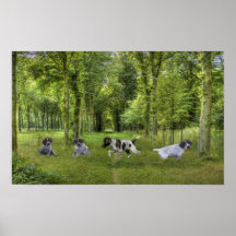 German Shorthaired Pointer Pups Print