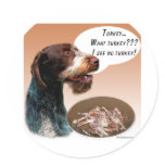 German Wirehaired Pointer Turkey stickers
