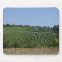 Germany, Franconia, Rothenburg. View along the Mouse Pad