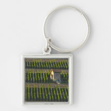 Germany, Franconia, Wertheim. Special hillside 2 Keychains