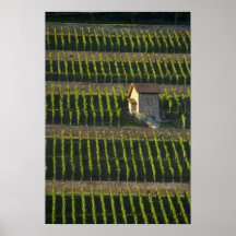 Germany, Franconia, Wertheim. Special hillside 2 Poster