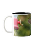Get Buzzed... Hummingbird and bee mugs