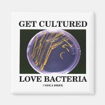 Get Cultured Love Bacteria (Petri Dish Humour) Refrigerator Magnet