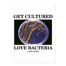 Get Cultured Love Bacteria (Petri Dish Humour) Post Cards