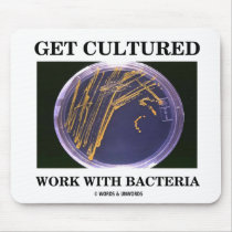Get Cultured Work With Bacteria (Agar Plate)