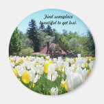Get Lost Magnets