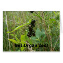 Get Organized cards