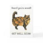 Get Well Card - Tortoiseshell Cat