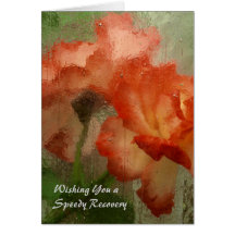 Get Well Card with Roses