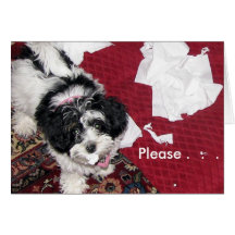 Get Well Puppy  . Greeting Card