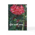 Get well soon and back to full bloom floral card