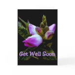 Get Well Soon cards
