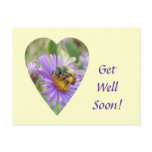 Get Well Soon Honeybee on Fall Asters Heart postcards