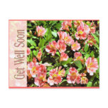 get well soon postcards