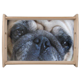 sick pug sick pug gifts t shirts posters other gift ideas zazzle sick pug sick pug gifts t shirts posters other gift ideas zazzle
