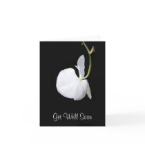 Get Well Soon White Flower Hanging on Black Card