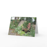 Get Well Wishing Well Card