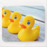 Get Your Ducks In A Row