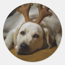 Getting into the spirit! stickers