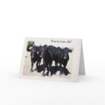 Getting Older Brithday Humour cards