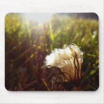 Getting Sun Mousepads