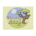 Ghandi Earth quote postcards