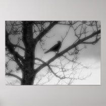 Ghost Raven Poster posters