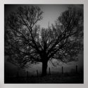 ghost tree posters