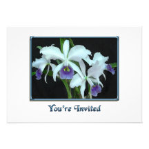Ghostly Cattleyas Invite