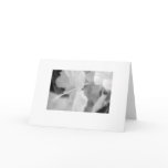 "Ghostly Hibiscus" Greeting Card