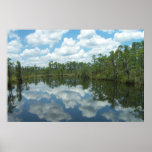 Giant 6ftx4ft-Southern Ms. River Swamp Posters