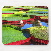 Giant Amazon Water Lily Mouse Pads