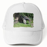 Giant Anteater  Baseball Hat