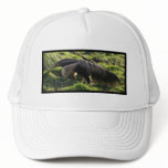 Giant Anteater Baseball Hat