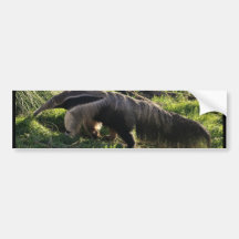 Giant Anteater Bumper Sticker