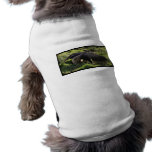 Giant Anteater Pet Shirt