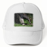 Giant Anteater Photo Baseball Hat