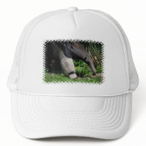 Giant Anteater Photo Baseball Hat