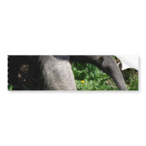 Giant Anteater Photo Bumper Sticker