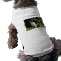 Giant Anteater Photo Pet Shirt