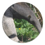 Giant Anteater Photo Stickers