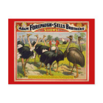 Giant Birds Circus Poster - Forepaugh and Sells