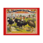 Giant Birds Circus Poster - Forepaugh and Sells postcards