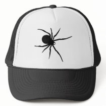 Giant Black Spider