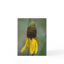 Giant Brown-eyed Susan Notecards