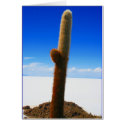 giant cactus cards
