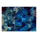 Giant Clam Greeting Card